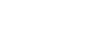 Дикси