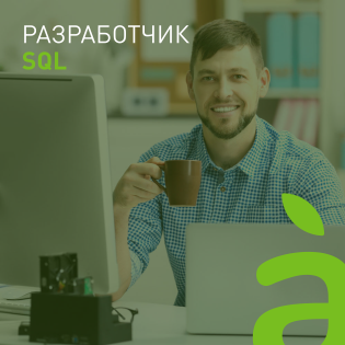 Разработчик SQL.png